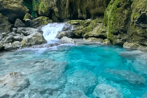 Cebu: Tour di gruppo di Oslob Whaleshark e Canyoneering con pranzo