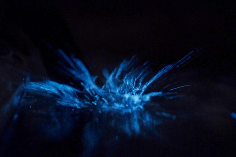 San Juan Island: Bioluminescence Kayak Tour