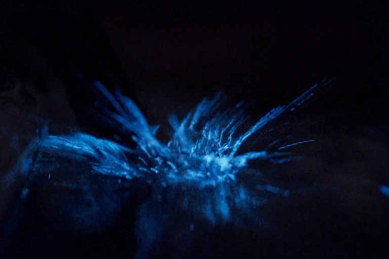 San Juan Island: Bioluminescence Kayak Tour