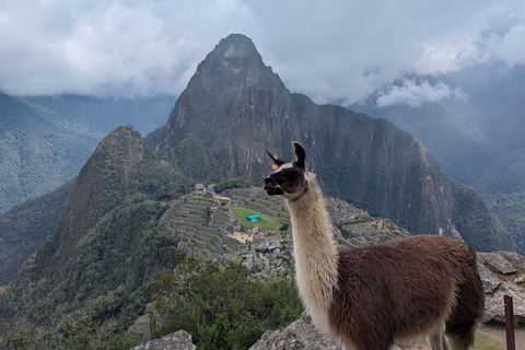 From Urubamba & Ollantaytambo: Machupicchu Full-day| private