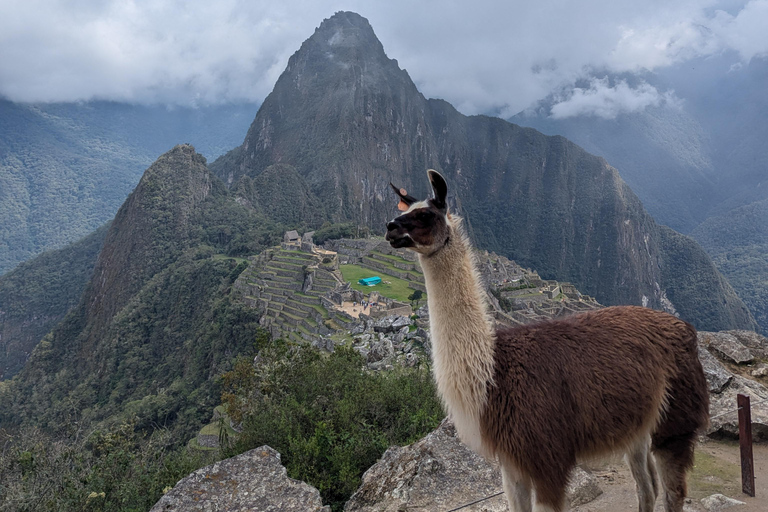 From Urubamba & Ollantaytambo: Machupicchu Full-day| private