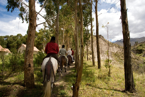 San Alfredo: Nature Horse Riding Experience