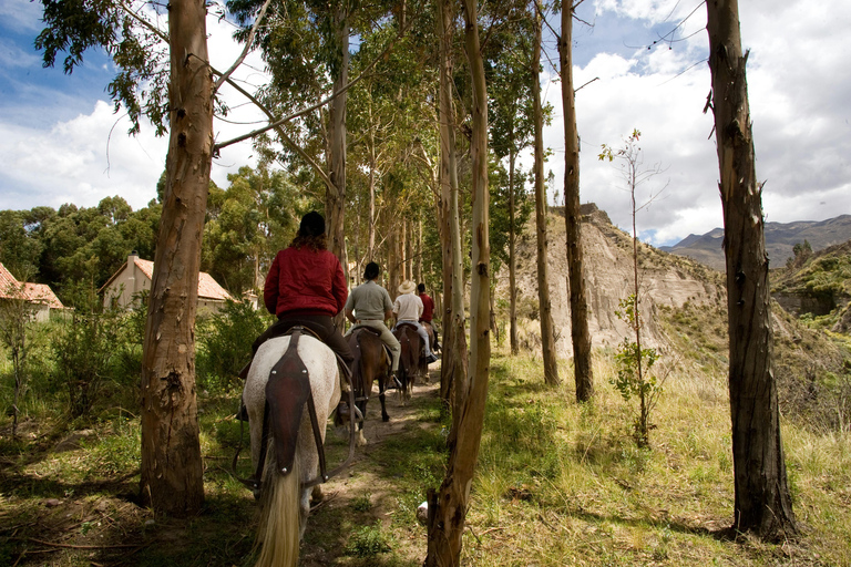 San Alfredo: Nature Horse Riding Experience