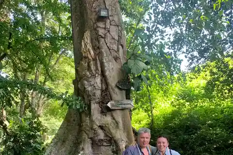 Paso Del Mango. Experiência com o cacau.