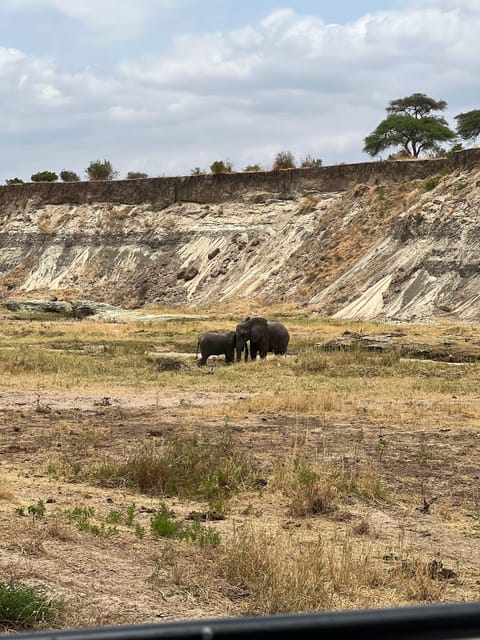 From Zanzibar Private 4 Day Serengeti Ngorongoro Safari GetYourGuide