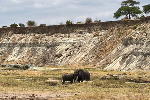 Från Zanzibar: Privat 4-dagars Serengeti &amp; Ngorongoro-safari