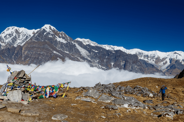 Desde Katmandú: Trekking de 10 días al Mardi Himal con alojamientoDesde Katmandú: Trekking de 10 días por Mardi Himal con alojamiento