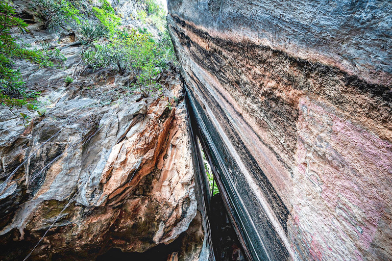 Phuket: Phang Nga Bay Bioluminescent Plankton Canoe day Trip