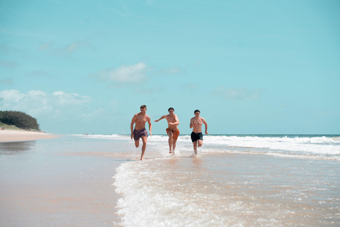 Excursion d&#039;une journée sur l&#039;île de Bribie depuis Brisbane