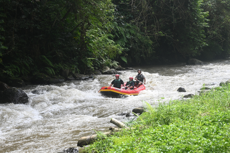 Ubud: Ultimate Adrenaline ATV Quad And White Water Rafting White Water Rafting Adventure Meet At Meeting Point