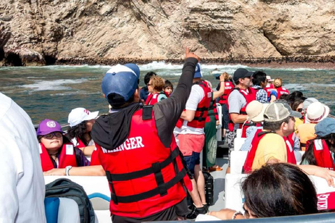 From Paracas: Ballestas Islands and Paracas National Reserve Ballestas Islands tour only