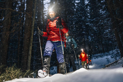 Osloer Wald: Privater Mystery Nocturne Walk mit StirnlampenOslo Forest: Privater nächtlicher Spaziergang mit Stirnlampen