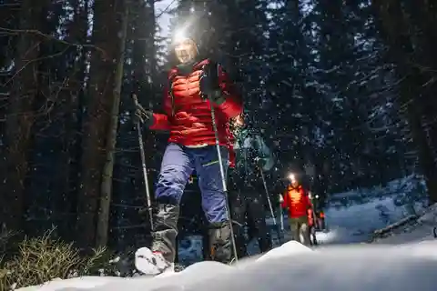 Oslo Forest: Private Mystery Nocturne Walk with Headlamps