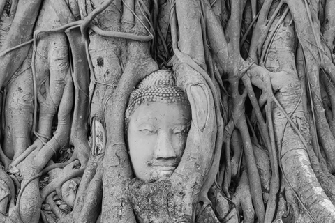 From Bangkok: Ayutthaya Day Trip with Transport