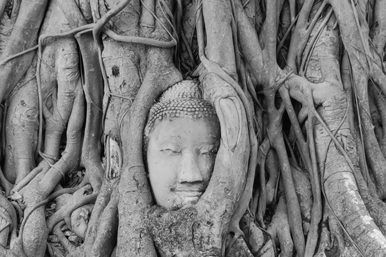 From Bangkok: Ayutthaya Day Trip with Transport