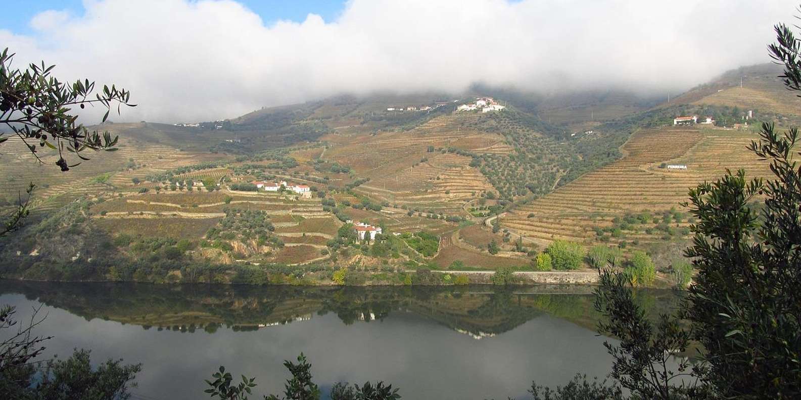 Porto: Douro Valley Tour with Lunch, Boat Cruise & Tastings — gallery image 14