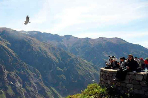 Aventure de 2 jours dans le Canyon de Colca depuis Arequipa + Hôtel