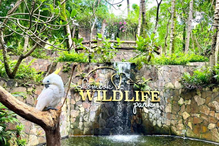 Lombok Wildlife Park and Sunset Escape Big Group
