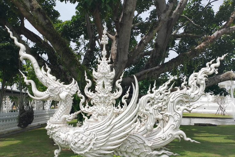 Excursión a los templos rojo, azul y blanco y a las aguas termales desde Chaing MaiTemplos rojos, azules y blancos y viaje a aguas termales desde Chaing Mai