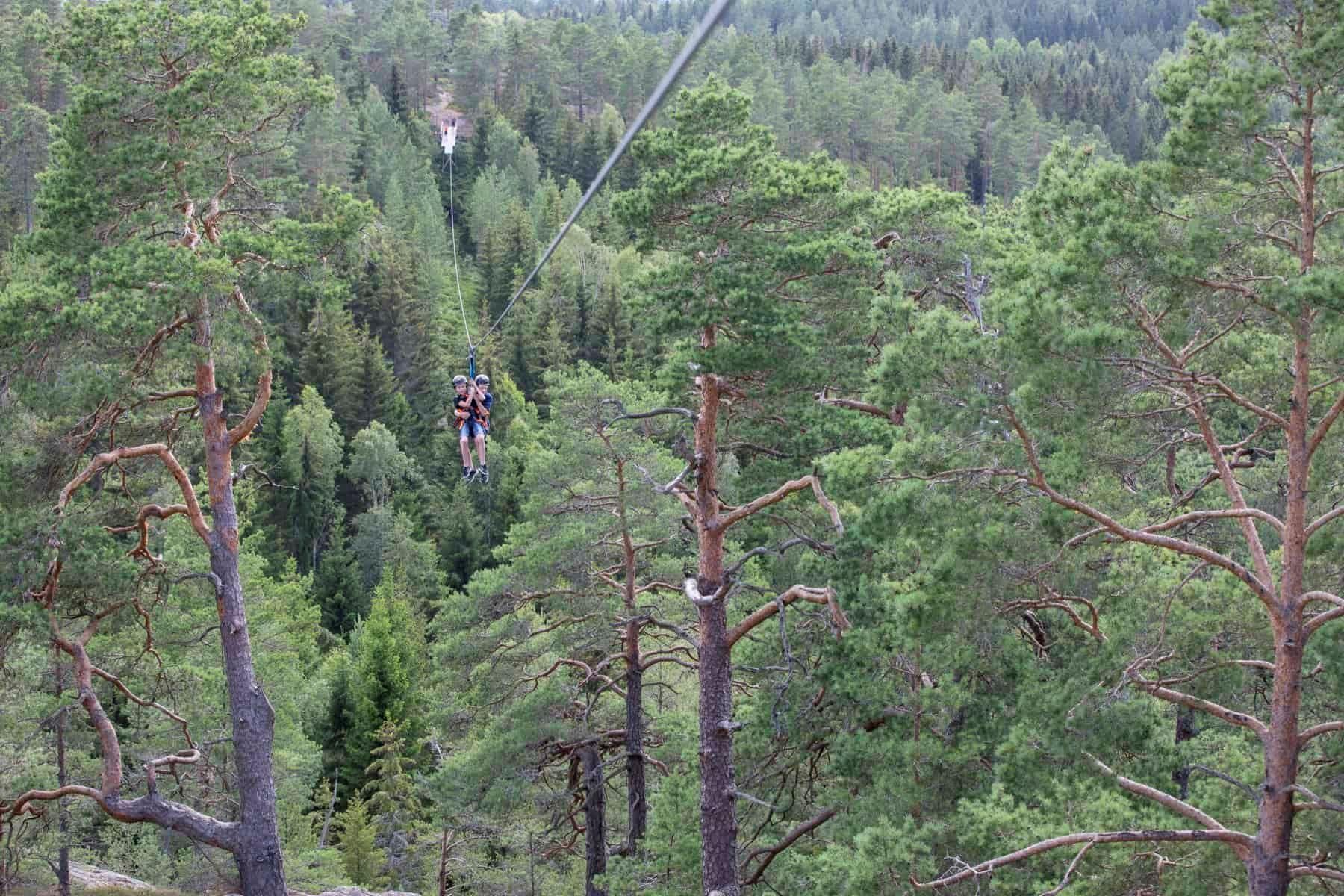 Dals Långed: Zipline-Abenteuer auf dem Steneby Gård