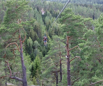 Dals Långed: avventura con la zipline a Steneby Gård