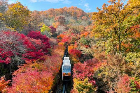 Seoul: Hwadamsup & Luge & Korea Folk Village One Day Tour Group Tour, meet at Dongdaemun (DDP)