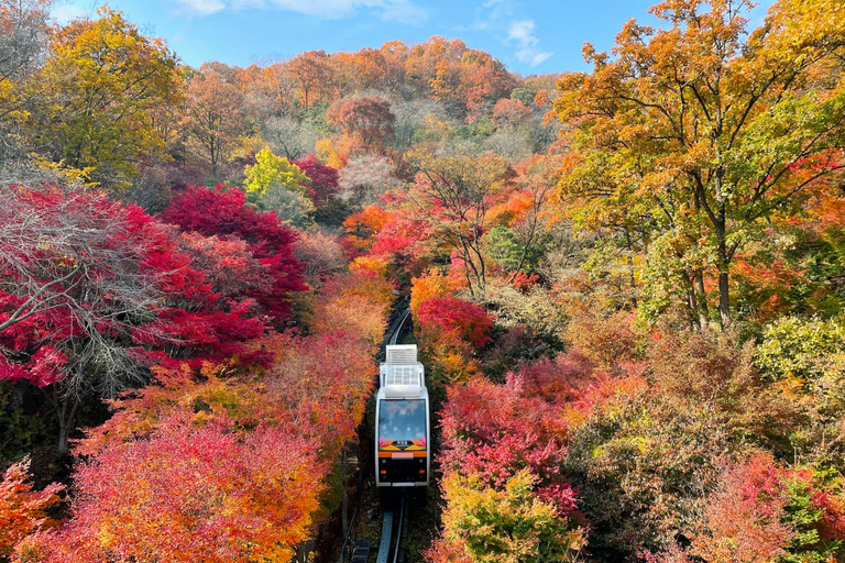 Seúl: Hwadamsup, luge y aldea folclórica coreana. Excursión de un día.Excursión en grupo, encuentro en Hongdae (Hongik Uni)
