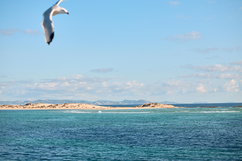 Ibiza: Formentera Boat Trip with Food, Drinks, & Bike Tour All- Inclusive Boat&Bike Tour in Formentera I Origin Edition