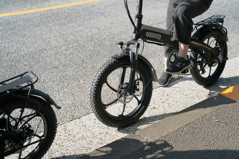 Tokyo: Private Electric Bike Tour of City Highlights Tokyo Private 3-hour City Highlights E-Bike Tour