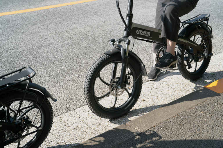 Tokyo: Private Electric Bike Tour of City Highlights Tokyo Private 3-hour City Highlights E-Bike Tour