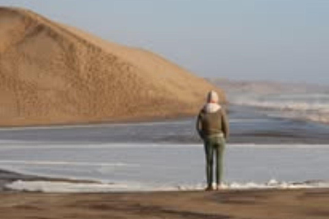 Walvis Bay: Sandwich Harbour & Catamaran Combo