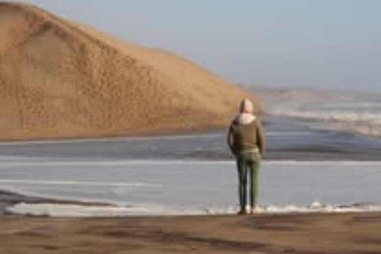 Walvis Bay: Sandwich Harbour & Catamaran Combo