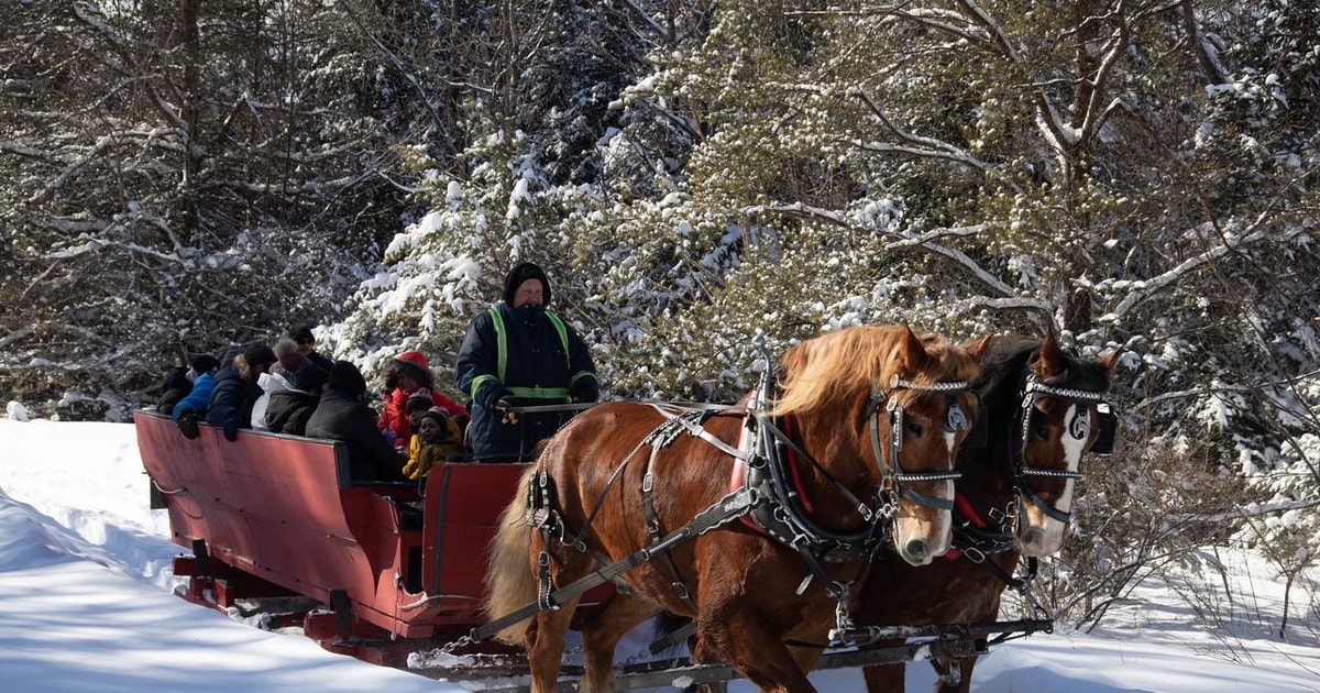 Mont-Tremblant: Sleigh Ride w/ Storytelling & Hot Chocolate | GetYourGuide