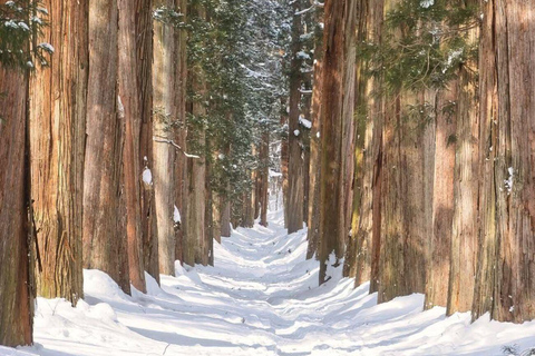 Tokyo: Nagano Day Trip with Snow Monkey Park & Temple.