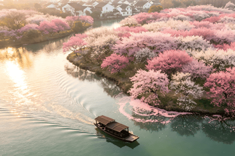 Hangzhou Xixi Wetland: Off the Beaten Path Rowboat & Stroll