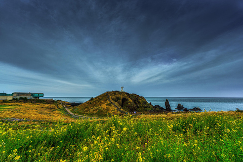 Voor gasten van Jeju Port Cruise : Unesco dagtourPrivé auto charter Jeju haven