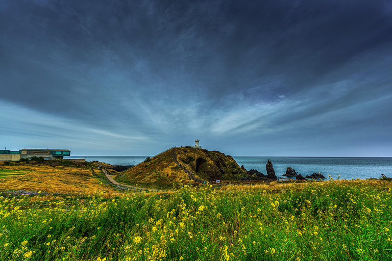 Pour les croisiéristes du port de Jeju : Excursion d&#039;une journée à l&#039;Unesco