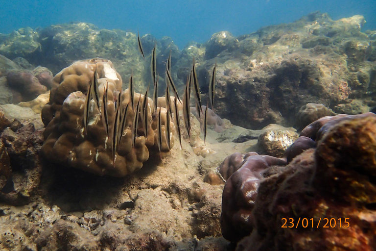 SSI Fun Dive auf Grande Island