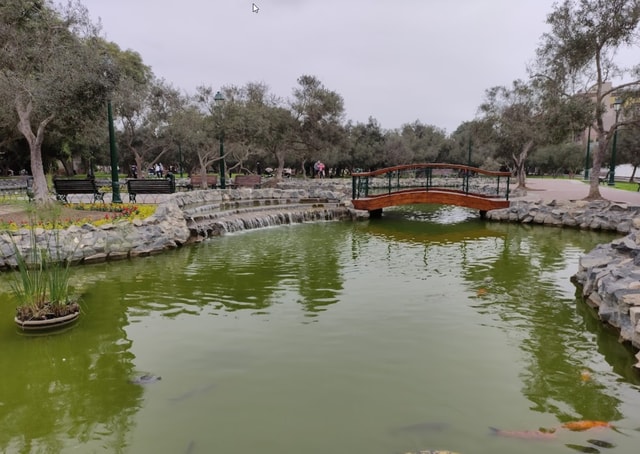 Take an hour stroll around the hidden gems of El Olivar park