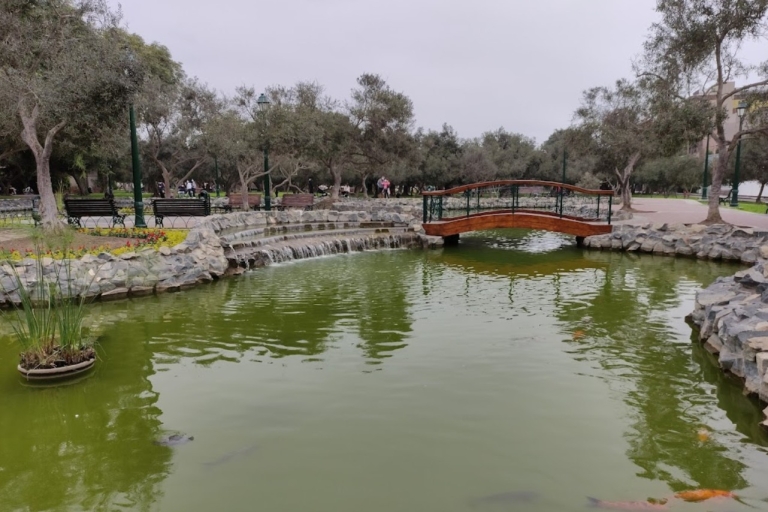 Take an hour stroll around the hidden gems of El Olivar park
