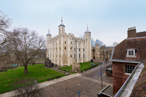 London: Full Day Tower, St. Paul's, Cruise & Eye Experience Full-Day Total London Tour & Flight on the London Eye