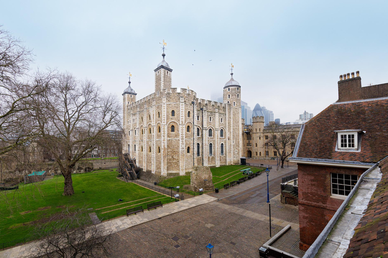 London: Full Day Tower, St. Paul's, Cruise & Eye Experience Full-Day Total London Tour & Flight on the London Eye