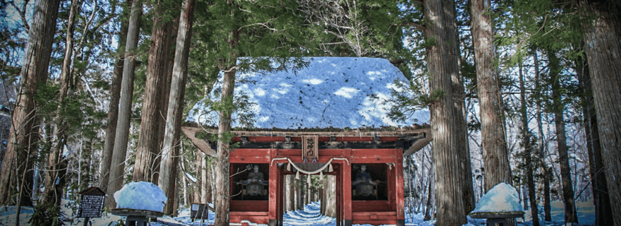 Nagano : visite privative d'une demi-journée au sanctuaire de Togakushi