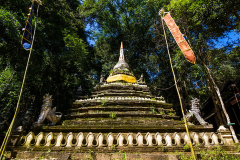 Early morning Doi Suthep with monk chanting and alms