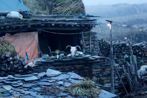 Off-the-Beaten Path: 13-Day Manaslu Circuit Trek via Pokhara