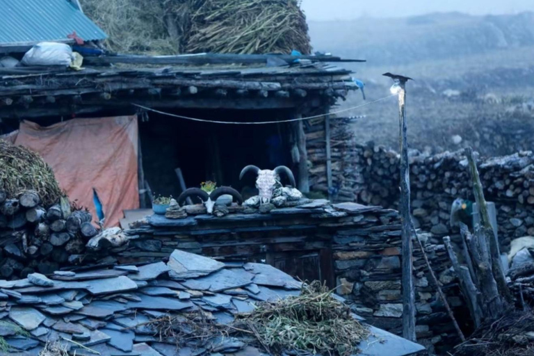 Off-the-Beaten Path: 13-Day Manaslu Circuit Trek via Pokhara