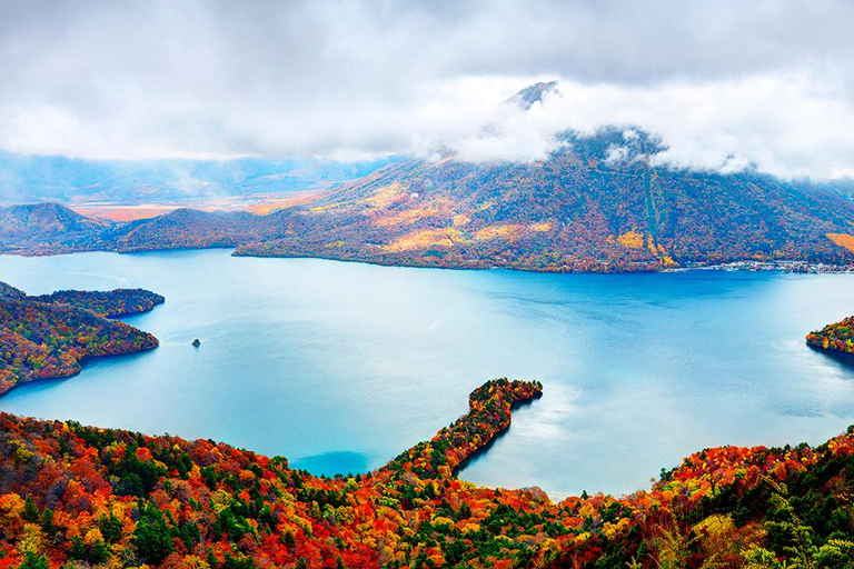 From Tokyo: Nikko UNESCO Shrine and Nature View Day Tour From Tokyo