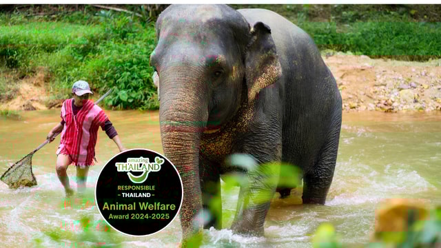 Khaolak: rondleiding door het olifantenreservaat met hoteltransfers