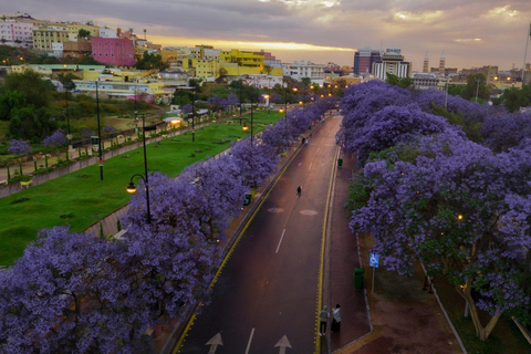 Tour de 14 dias por toda a Arábia Saudita