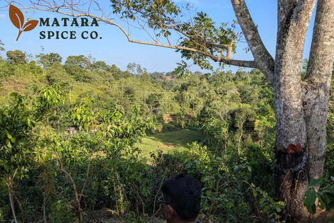 Mirissa: Cinnamon Garden Tour with Peeling Class